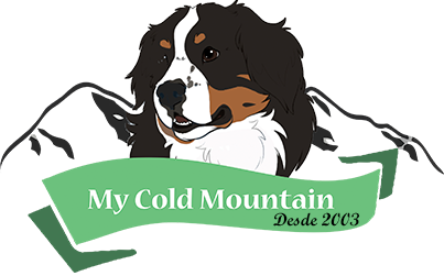 My Cold Mountain - Criação de Bernese - Venda de Filhotes
